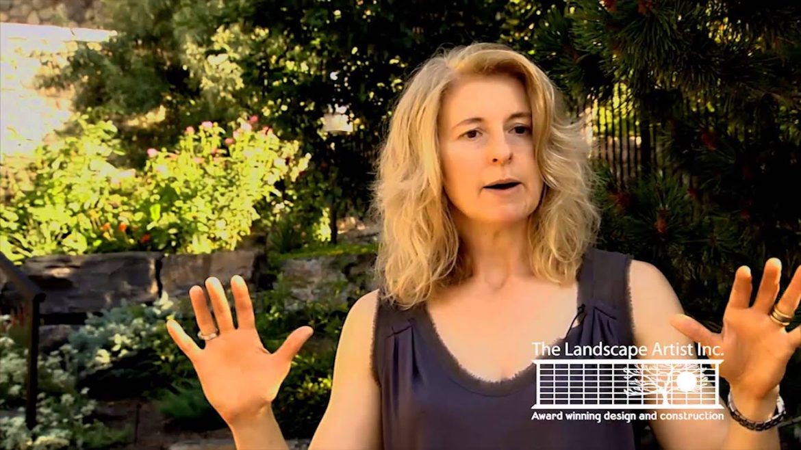 Backyard stream and waterfall in this Calgary Landscape Design