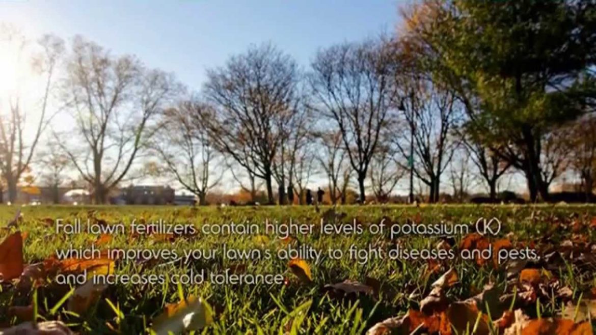 October Garden Tips from New Garden (video infographic)