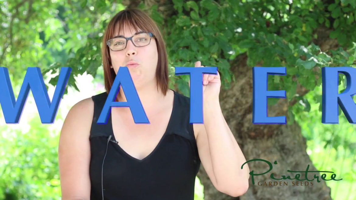 Garden Tips and Tricks: How much should I water my garden?