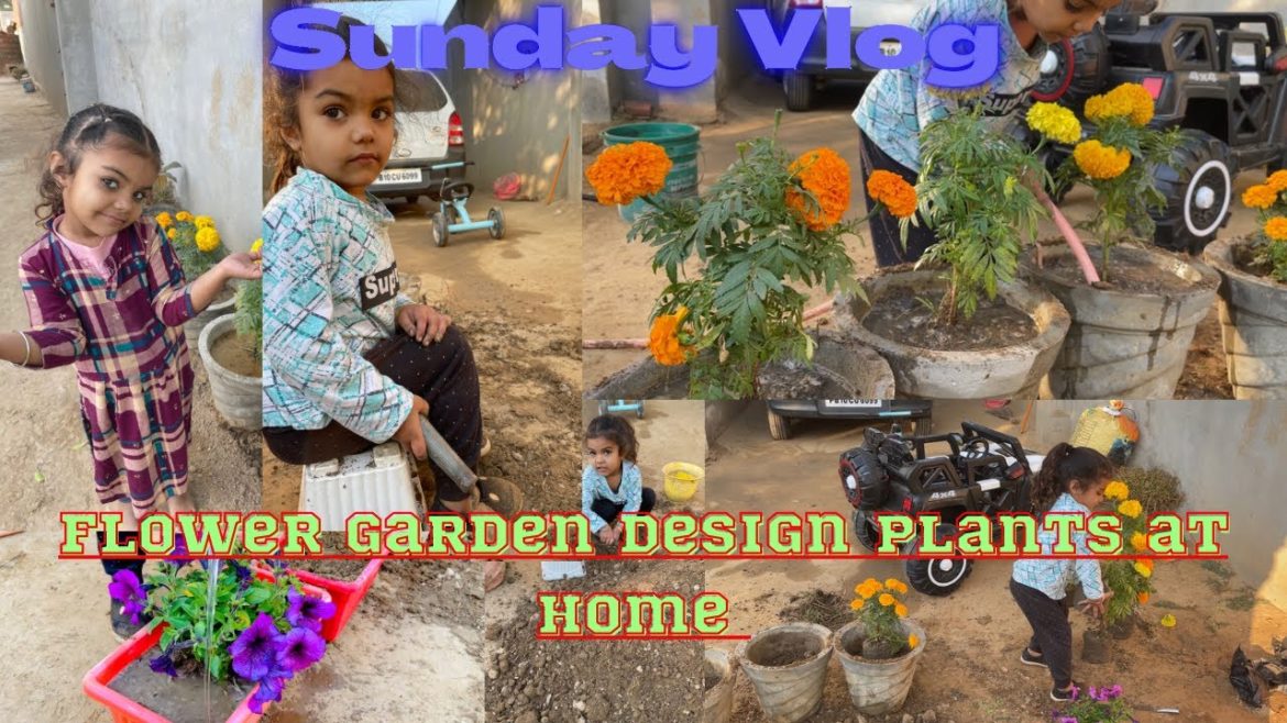 Aish Sunday Vlogs !! flower garden design plants!! #flowers #viral #tranding #vlog #sundayvlogs