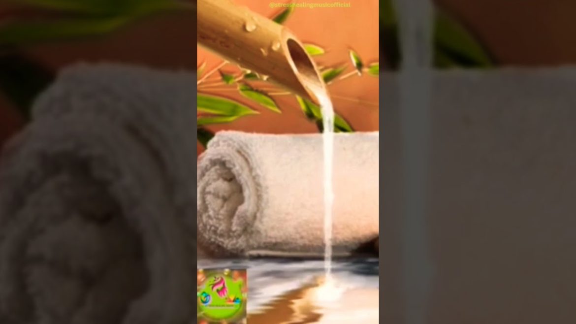 Bamboo Water Fountain With Water Sound #shorts #watersounds Bamboo Water Fountain With Water Sound #shorts #watersounds