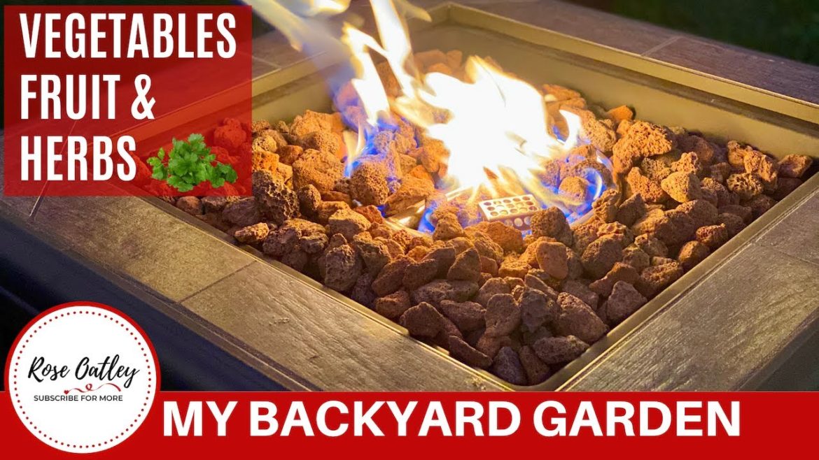 Backyard Garden Ideas | Vegetable Garden Tour | Beginner Gardener