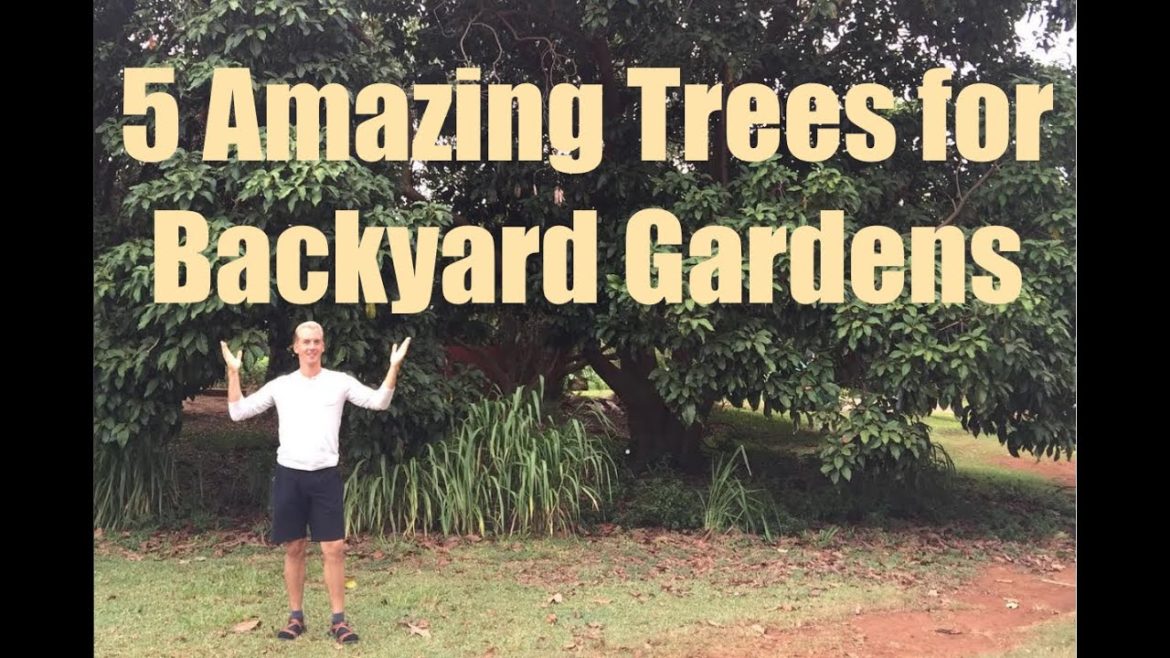 5 Amazing Edible Trees for Backyard Gardening