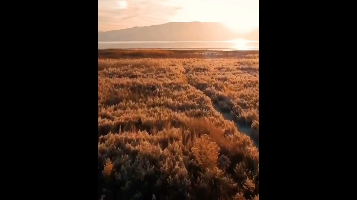 The Nature Landscape #shorts