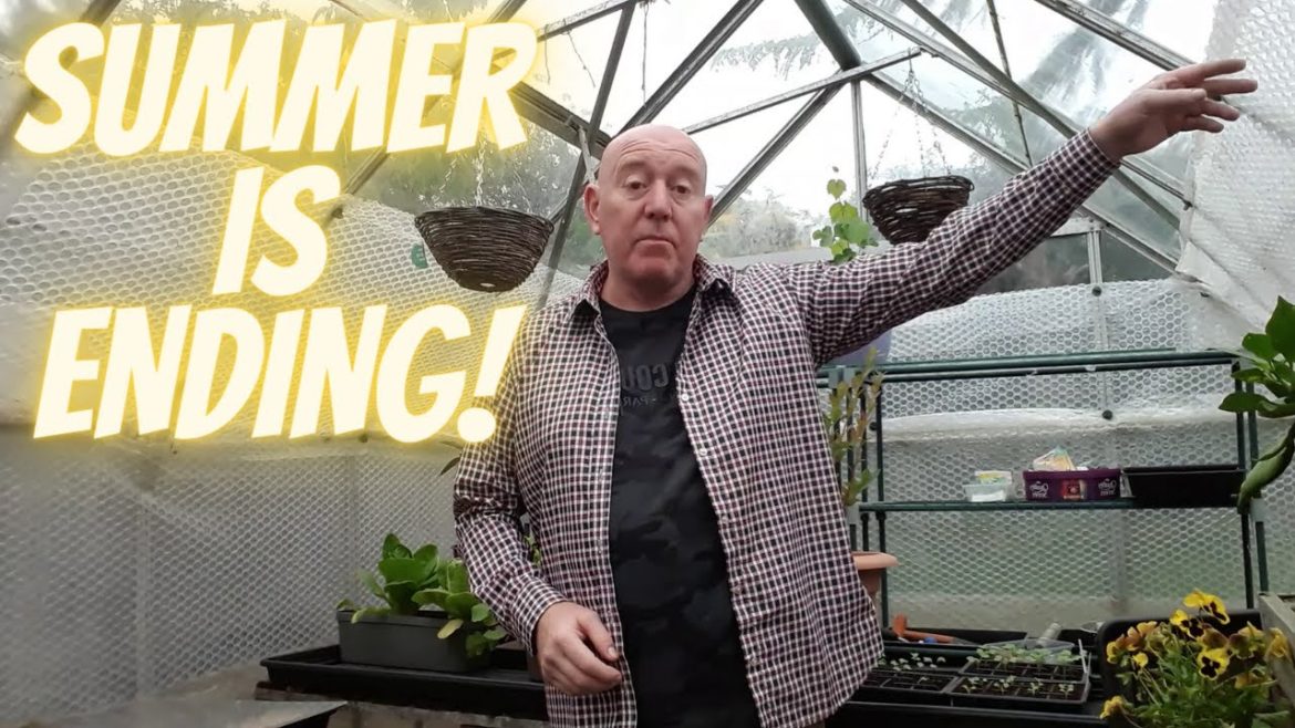 Summer Is Ending [Gardening Allotment UK] [Grow Vegetables At Home ]