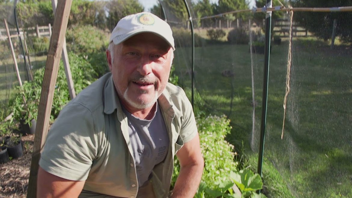 Tips For General Garden Problems