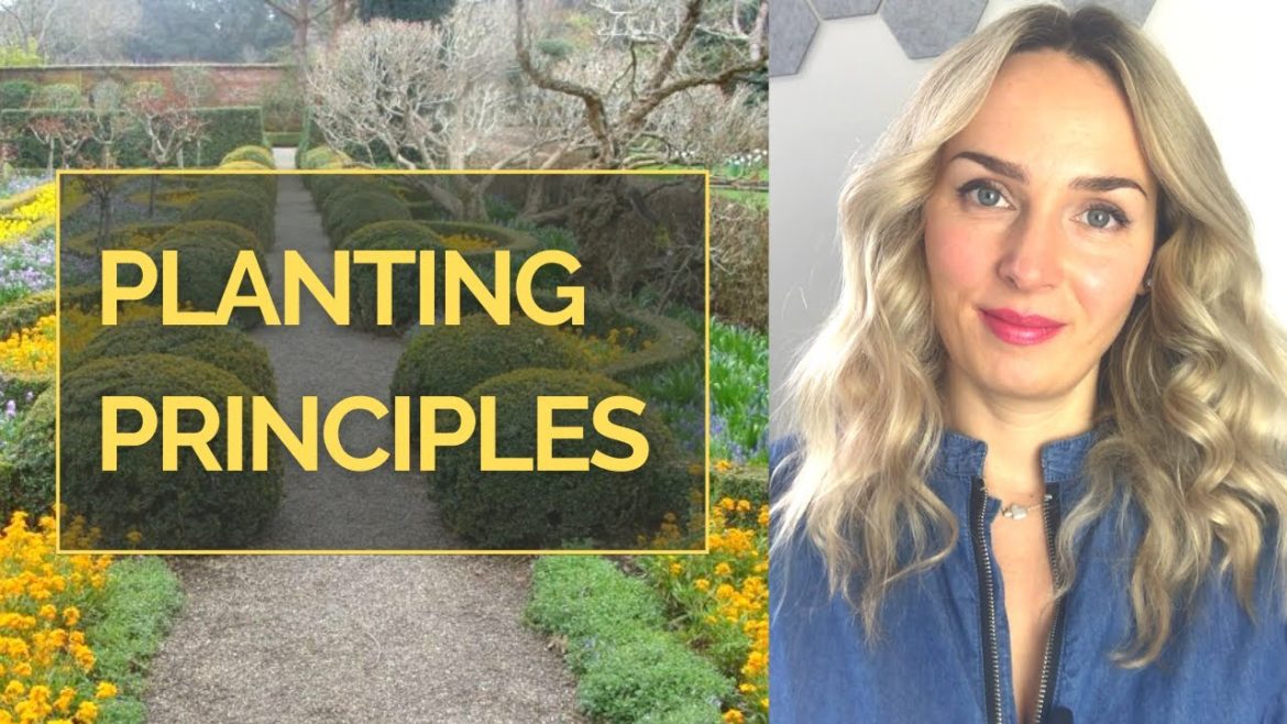 PLANTING DESIGN PRINCIPLES I How to design successful planting I Garden designer tips for planting PLANTING DESIGN PRINCIPLES I How to design successful planting I Garden designer tips for planting