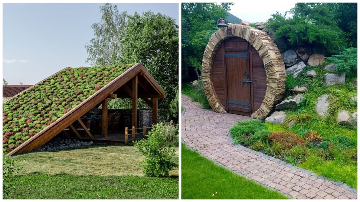 Life hacks for the garden: how to hide unsightly buildings on a garden plot! Life hacks for the garden: how to hide unsightly buildings on a garden plot!