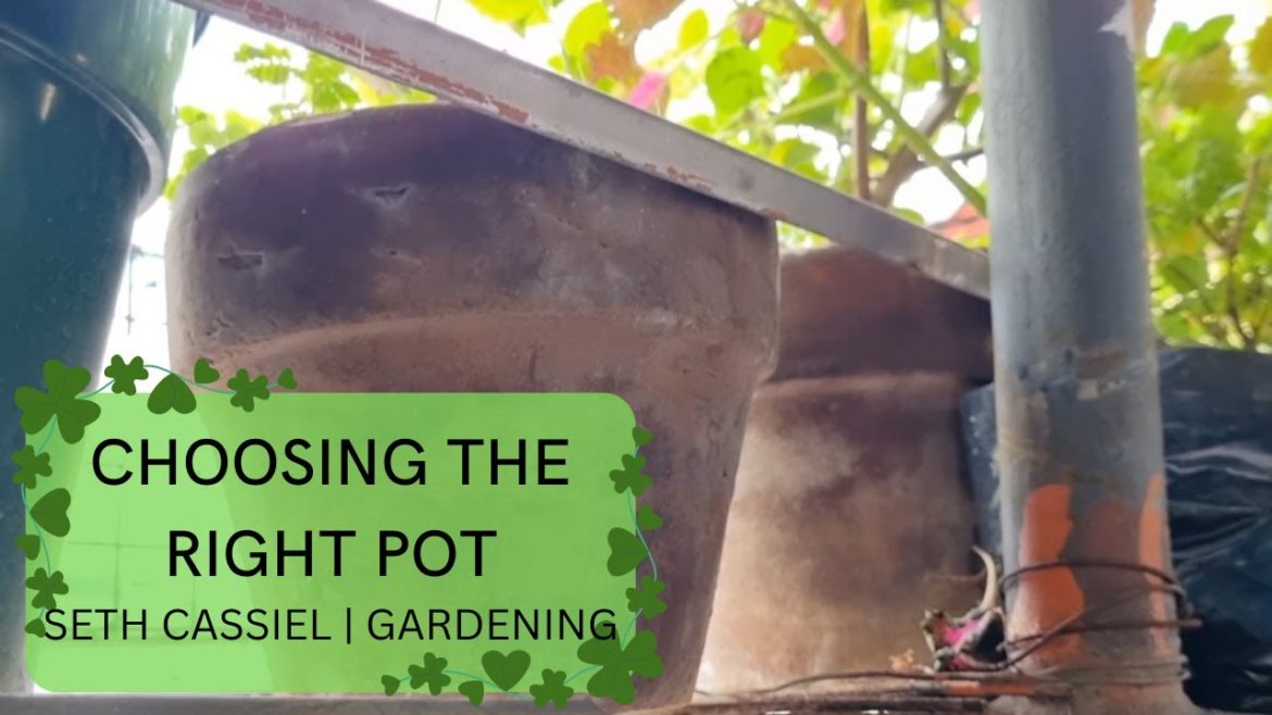 POT SELECTION for your GARDEN | Urban Gardening POT SELECTION for your GARDEN | Urban Gardening