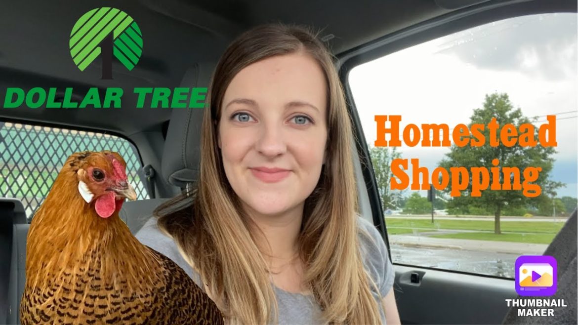 Buying Cheap Farm Supplies at Dollar Tree | Chicken, Garden & Medical Items to Stock Up On