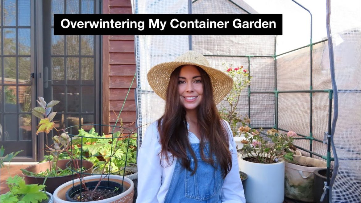 Overwintering Plants in Containers | Container Gardening