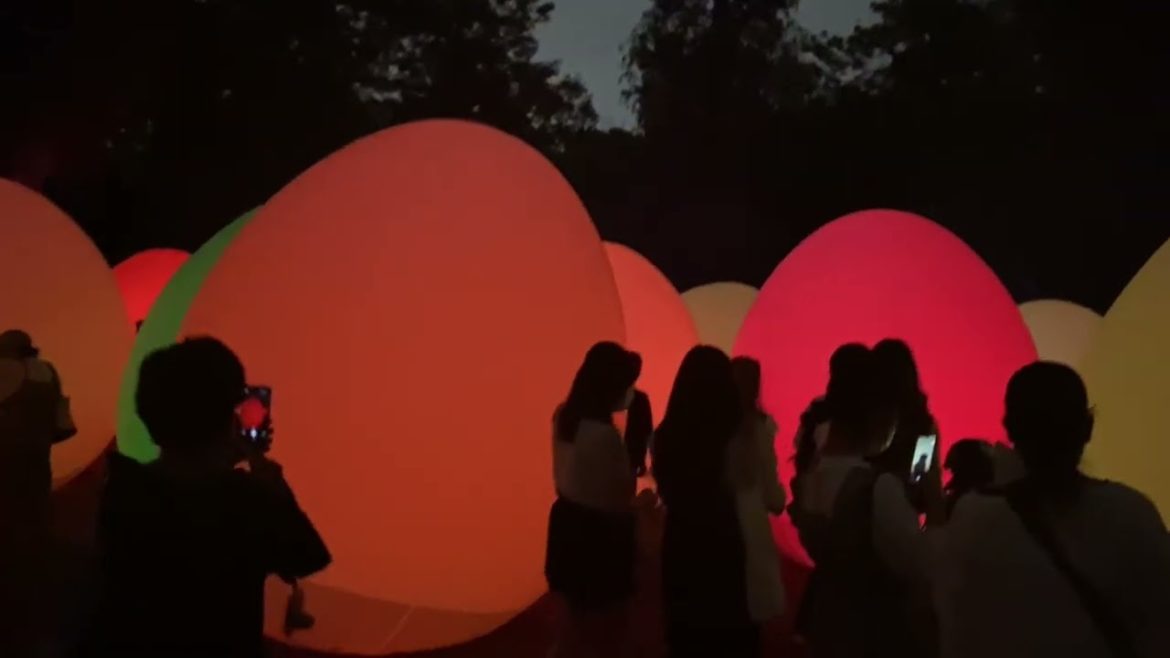 🏮🍃Japanese Garden Illumination🌿🏮 TEAMLAB art exhibit🏮Nagai Park - Osaka, Japan