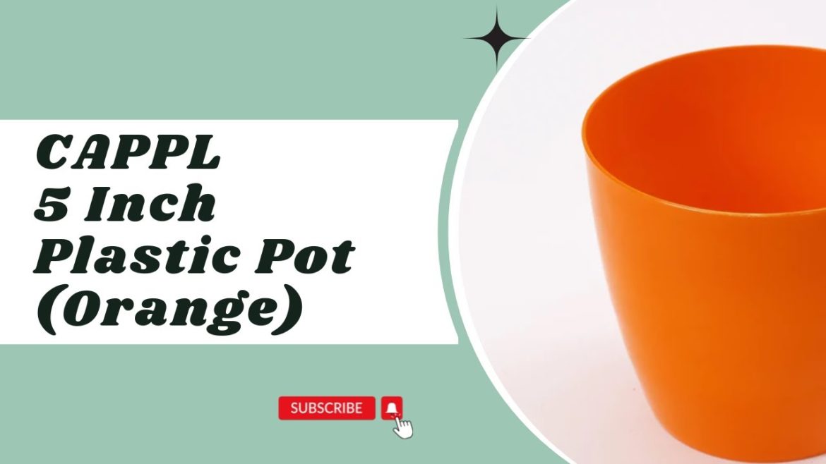 CAPPL 5 Inch Plastic Pot Orange