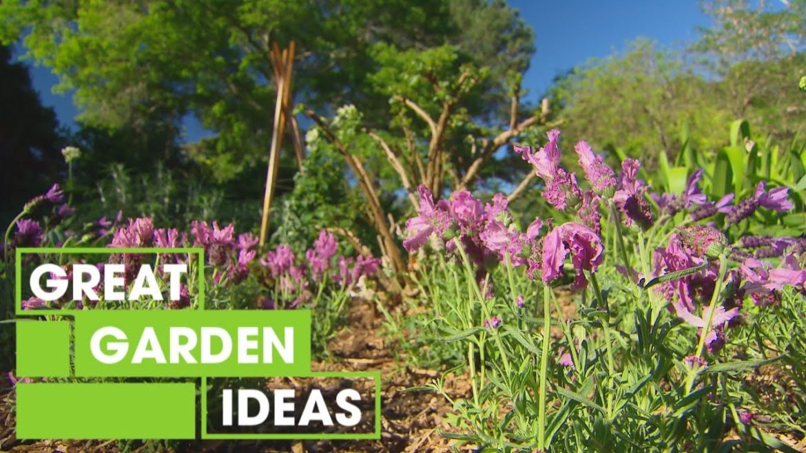 Spring Garden Tips: Part 2 | Gardening | Great Home Ideas