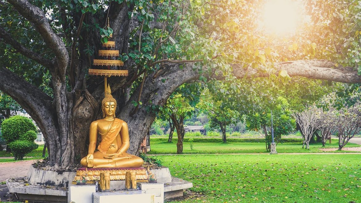 Peaceful Morning in the garden of the Buddha's meditation | Flute Meditation