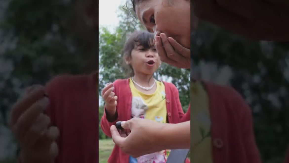 Yummy my black plum at my backyard garden - Village food