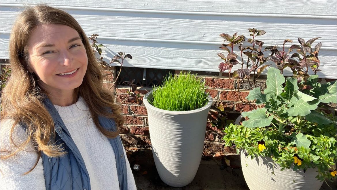 Preparing Containers for Cold Temps