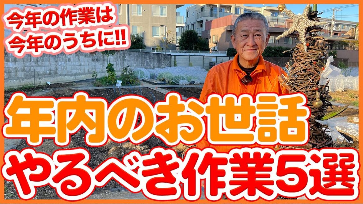家庭菜園や農園の冬野菜栽培で年内にやるべき作業５選！今年の作業は今年のうちに！！【農園ライフ】/Tips for farming in December from a Japanese farmer.