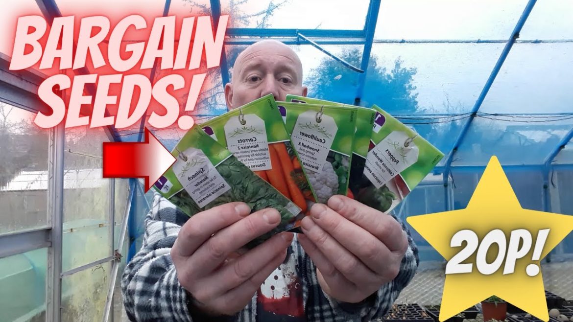 Bargain Seeds 20P!  [Gardening Allotment uk] [Home Growing Veg & Flowers]