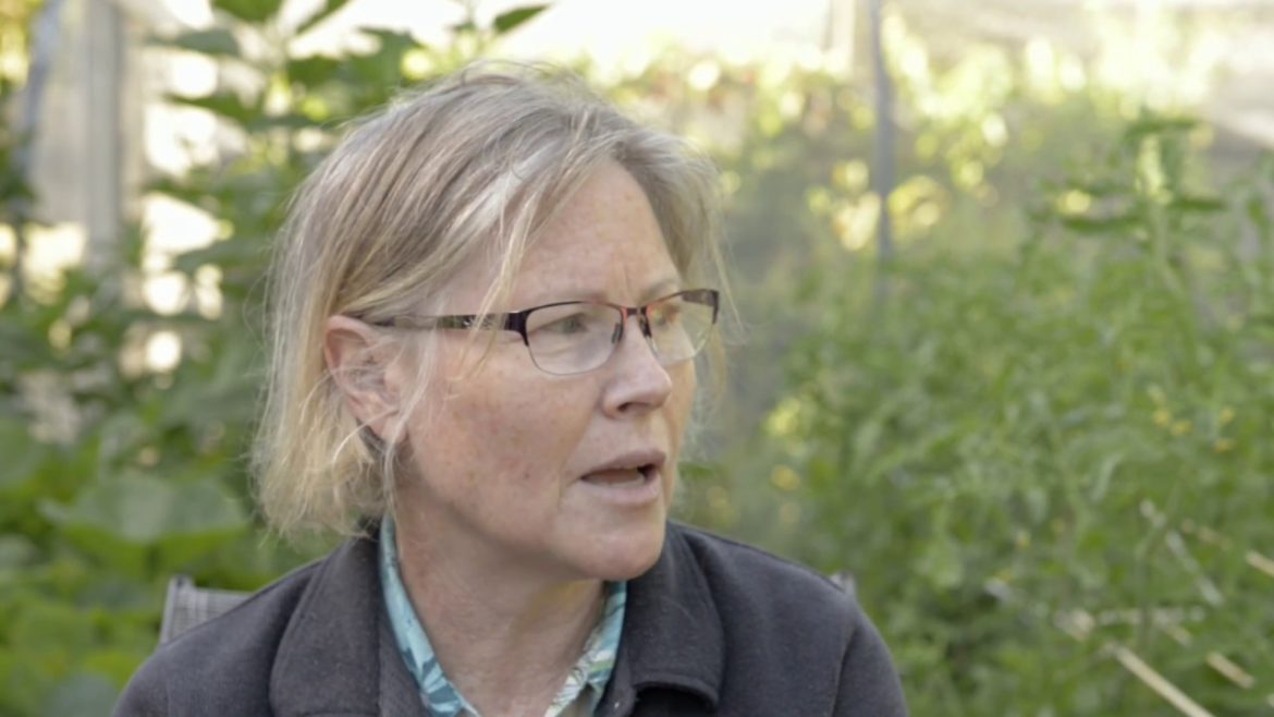 Deborah’s Wild Edible Garden Deborah’s Wild Edible Garden