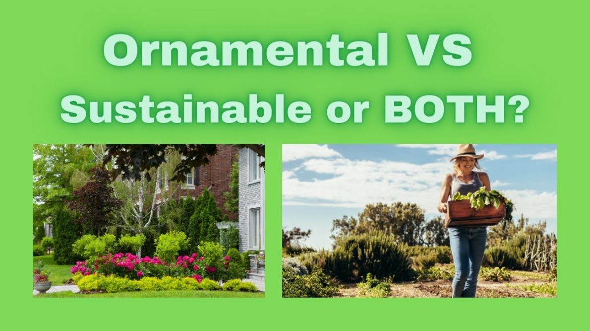 Ornamental Vs Sustainable or Edible Landscaping