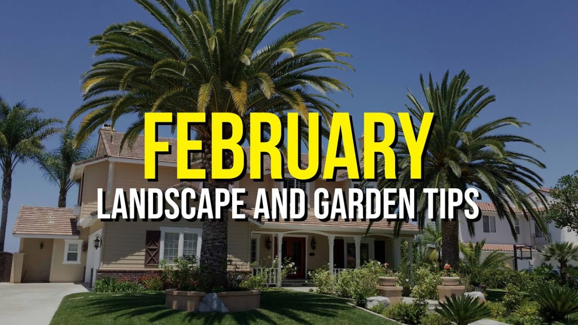 February Landscape and Garden Tips February Landscape and Garden Tips