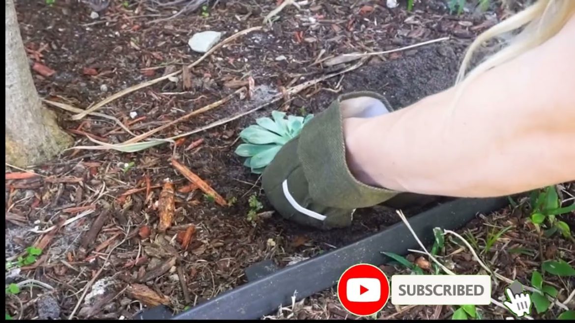 Scuddles Gardening Tools | Gardening Kit | Amazon Best Seller | Best Gardening Tools