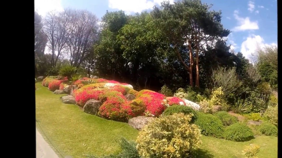 Japanese Garden - At Melbourne Zoo, Australia