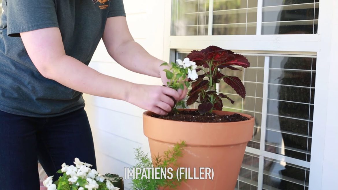 Container Gardening for Shade