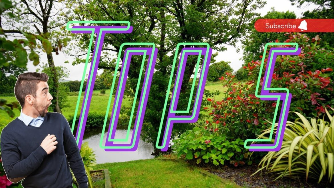 Top 5 pertandingan landskap AADK seluruh malaysia. Garden and backyard landscape design idea.100+