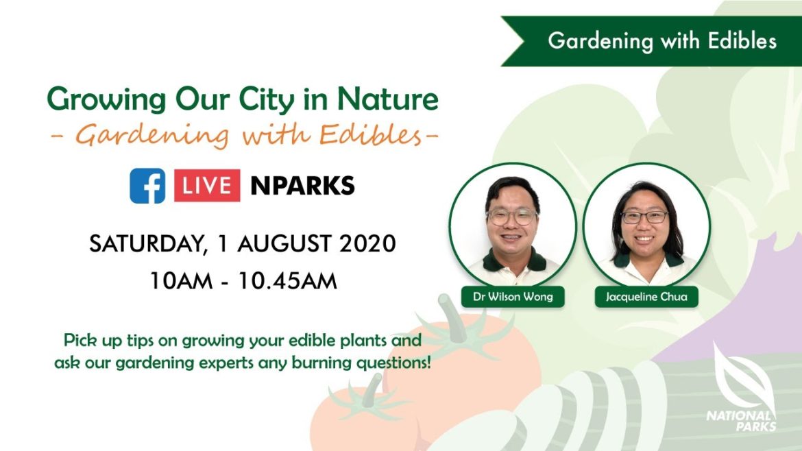 Gardening with Edibles Facebook Live | Episode 1