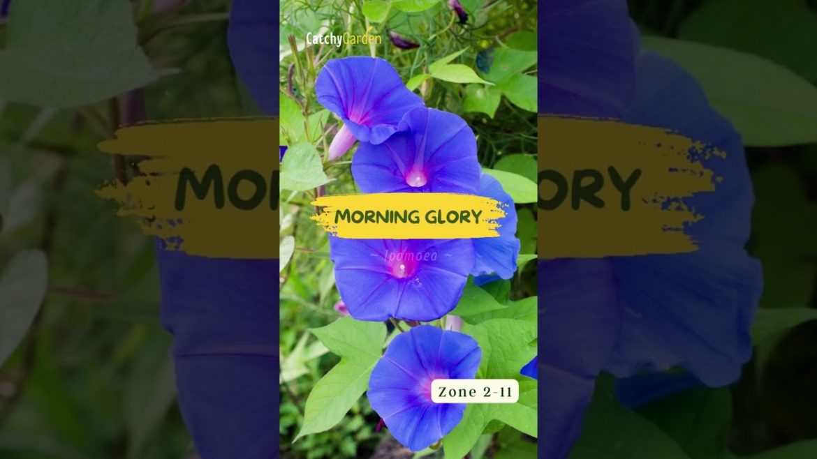 5 Plants And Flowers That are Toxic To Pets 🌸🐱🌿 // #short #shorts