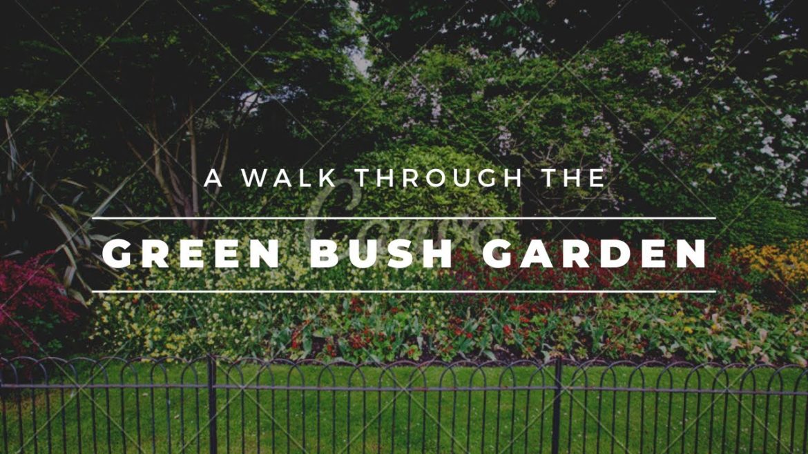 🛑ግሪን ቡሽ ጋርደን / Green Bush Garden #dinklejoch #adeydrama