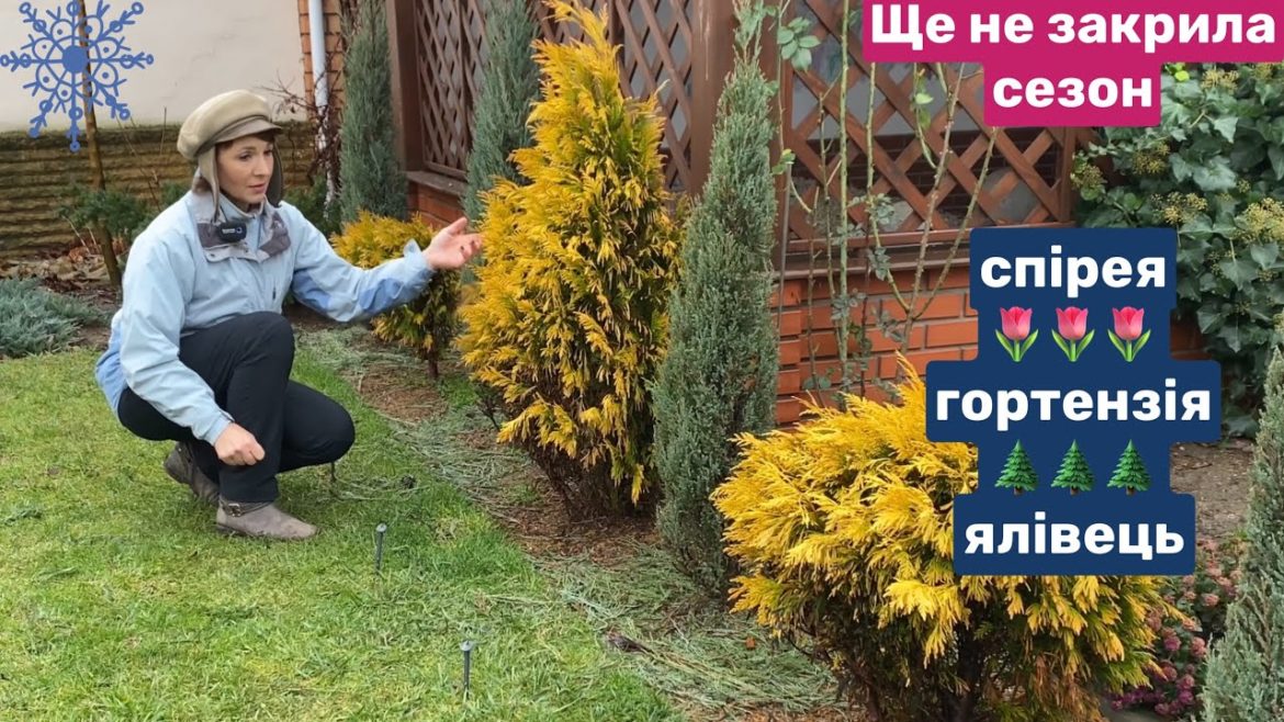 НЕ вистачило однієї доби🤦🏻♀️Закриття сезону в саду на городі НЕ вистачило однієї доби🤦🏻♀️Закриття сезону в саду на городі