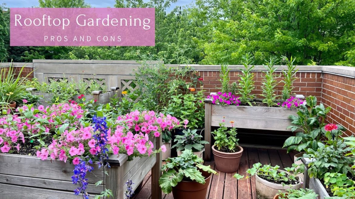 Rooftop Gardening Pros & Cons | Container Gardening Rooftop Gardening Pros & Cons | Container Gardening