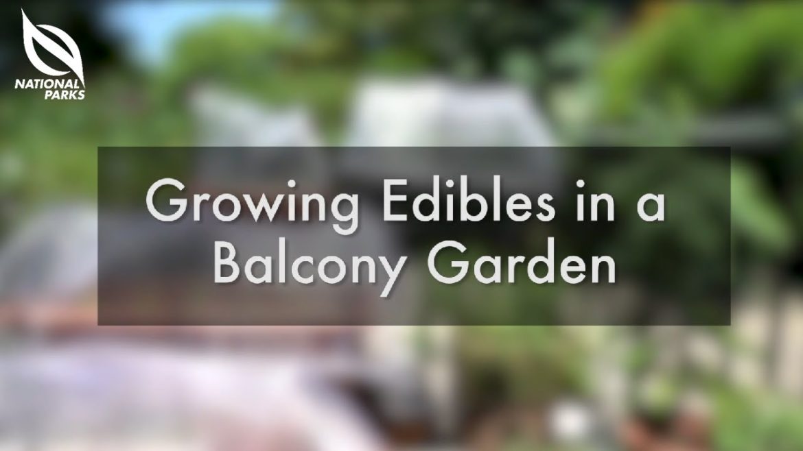 Growing Edibles in a Balcony Garden | Gardeners' Day Out