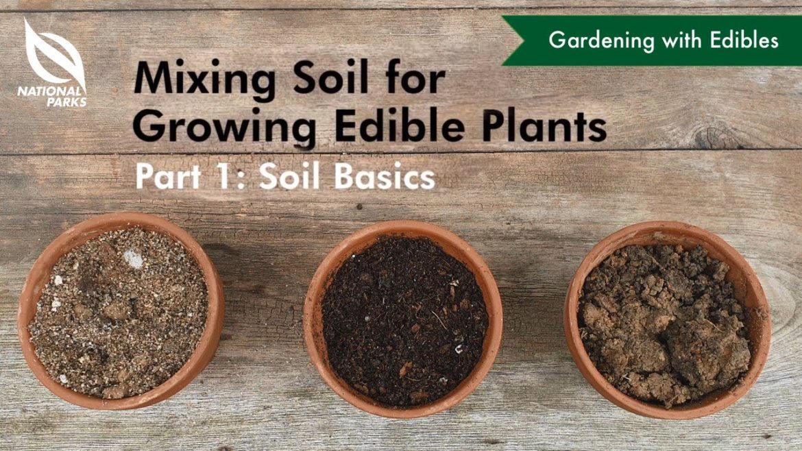 Mixing Soil for Growing Edible Plants (Part 1: Soil Basics) Mixing Soil for Growing Edible Plants (Part 1: Soil Basics)