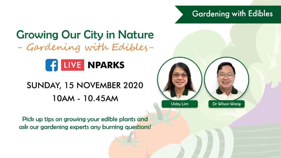 Gardening with Edibles Facebook Live | Episode 4 Gardening with Edibles Facebook Live | Episode 4