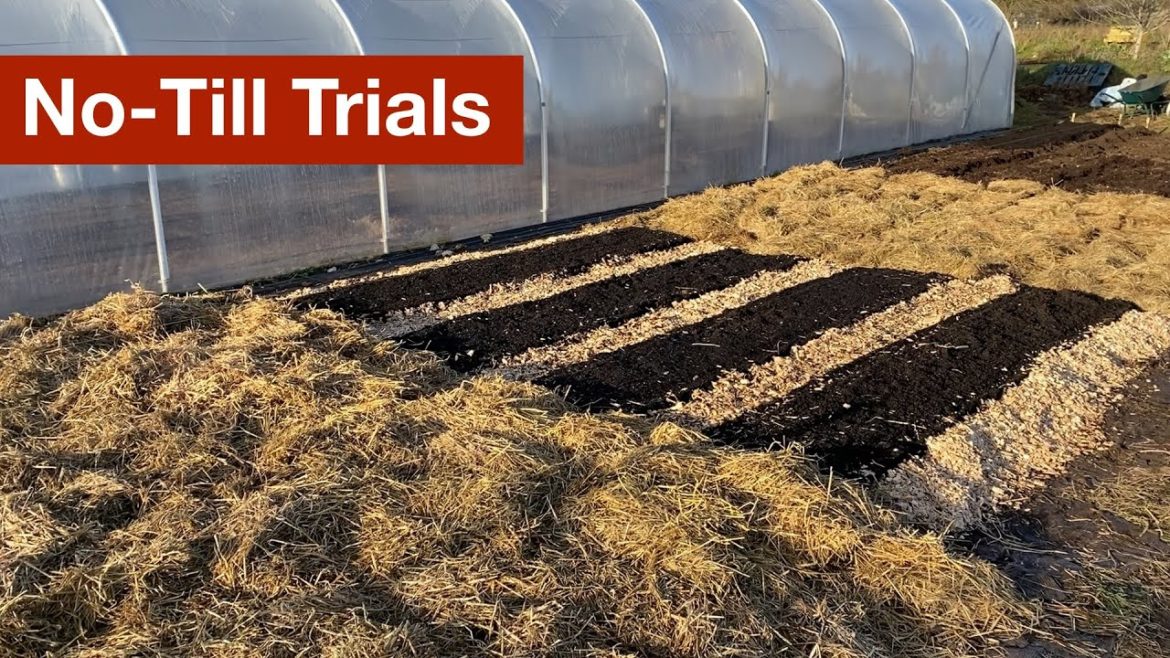 No Till Trials No Till Trials