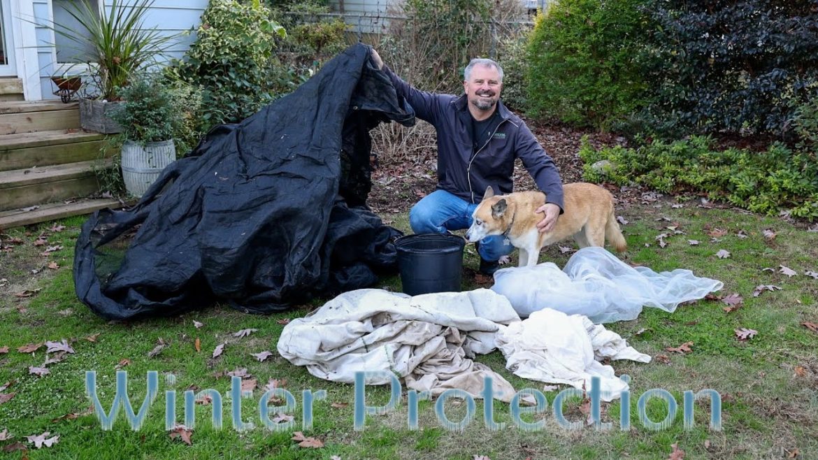 How to Winter Protect the Garden