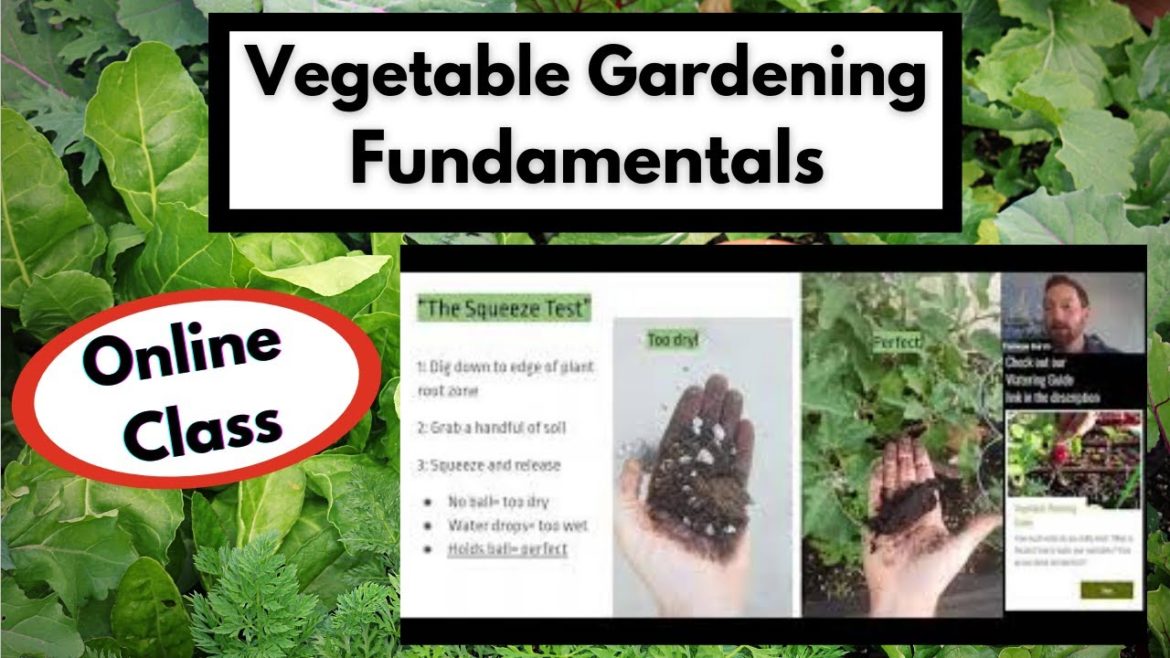 VEGETABLE GARDENING FUNDAMENTALS: 4 practices for better yields in your organic vegetable garden.