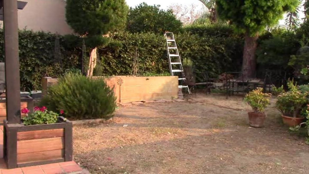 Backyard Ecological Landscape Introduction Backyard Ecological Landscape Introduction