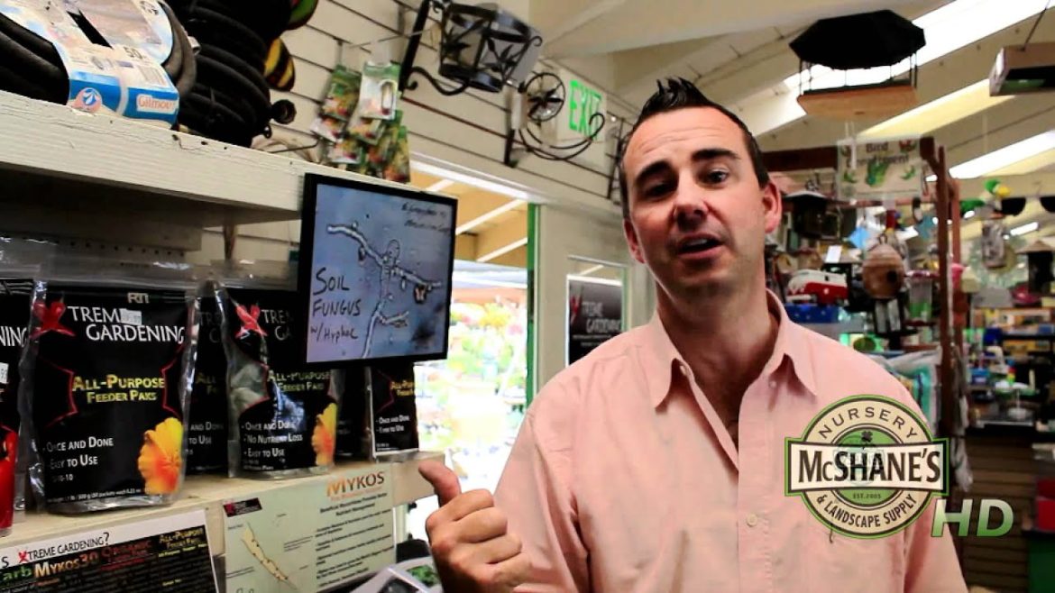 How to Get Started in Extreme Gardening