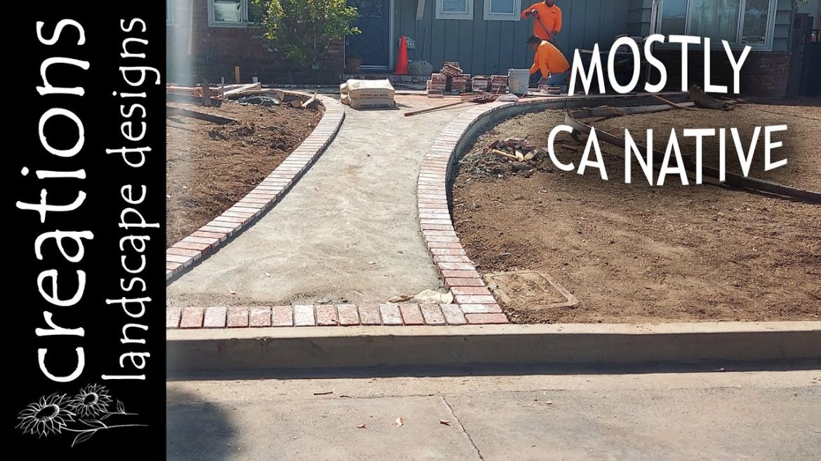 Mostly CA Native Front Yard Makeover