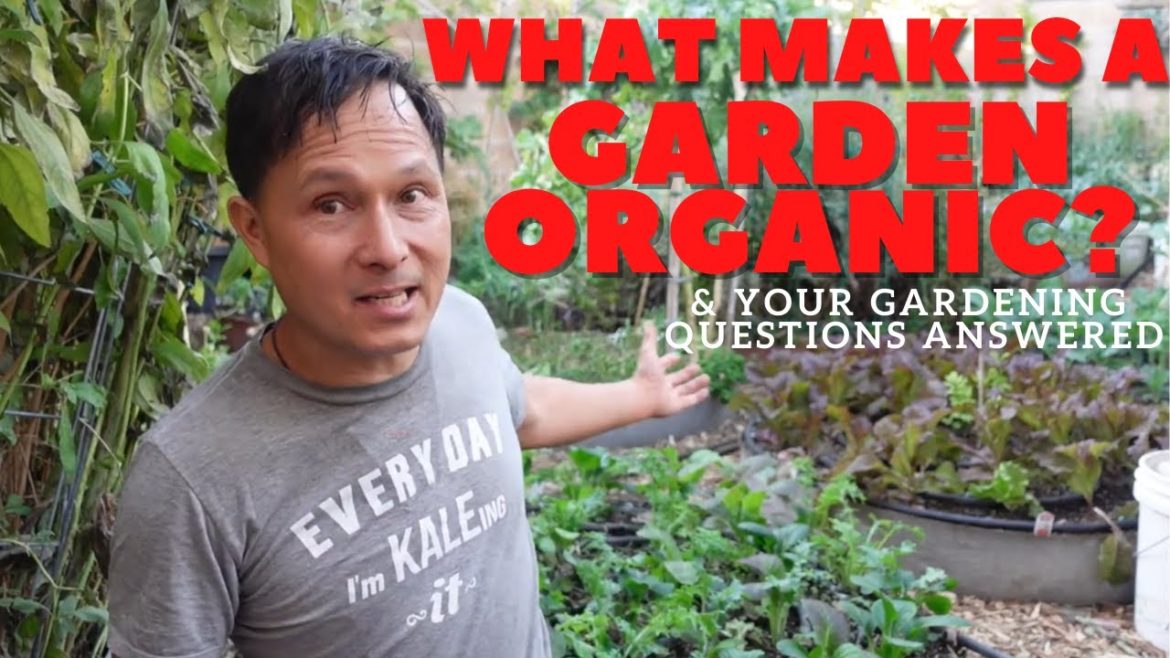 What Makes a Garden Organic? Your Gardening Questions Answered Q&A