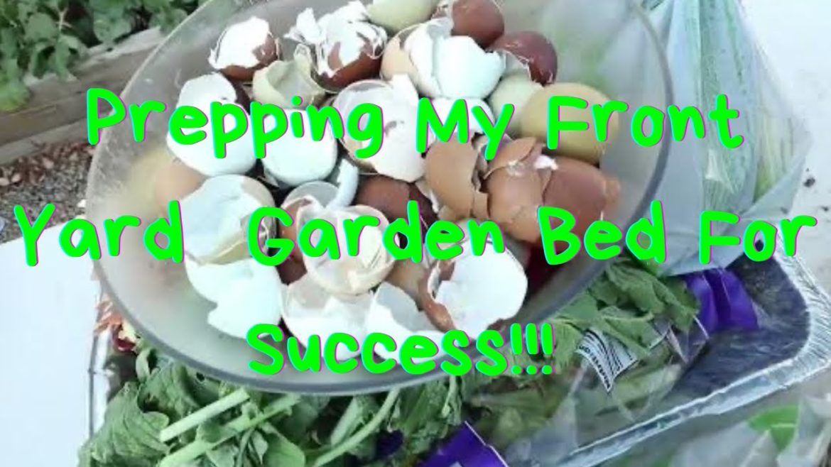 Back/Front Yard Update: Prepping My Front Yard Garden Bed With Natural Amendments Before Planting Back/Front Yard Update: Prepping My Front Yard Garden Bed With Natural Amendments Before Planting