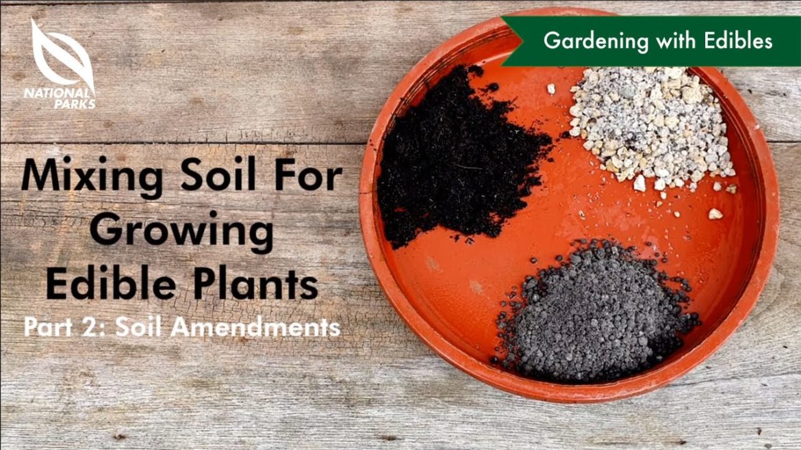 Mixing Soil for Growing Edible Plants (Part 2: Soil Amendments) Mixing Soil for Growing Edible Plants (Part 2: Soil Amendments)