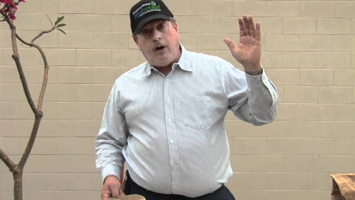 Home Gardening Tips : How to Enrich Depleted Soil for Gardening Home Gardening Tips : How to Enrich Depleted Soil for Gardening