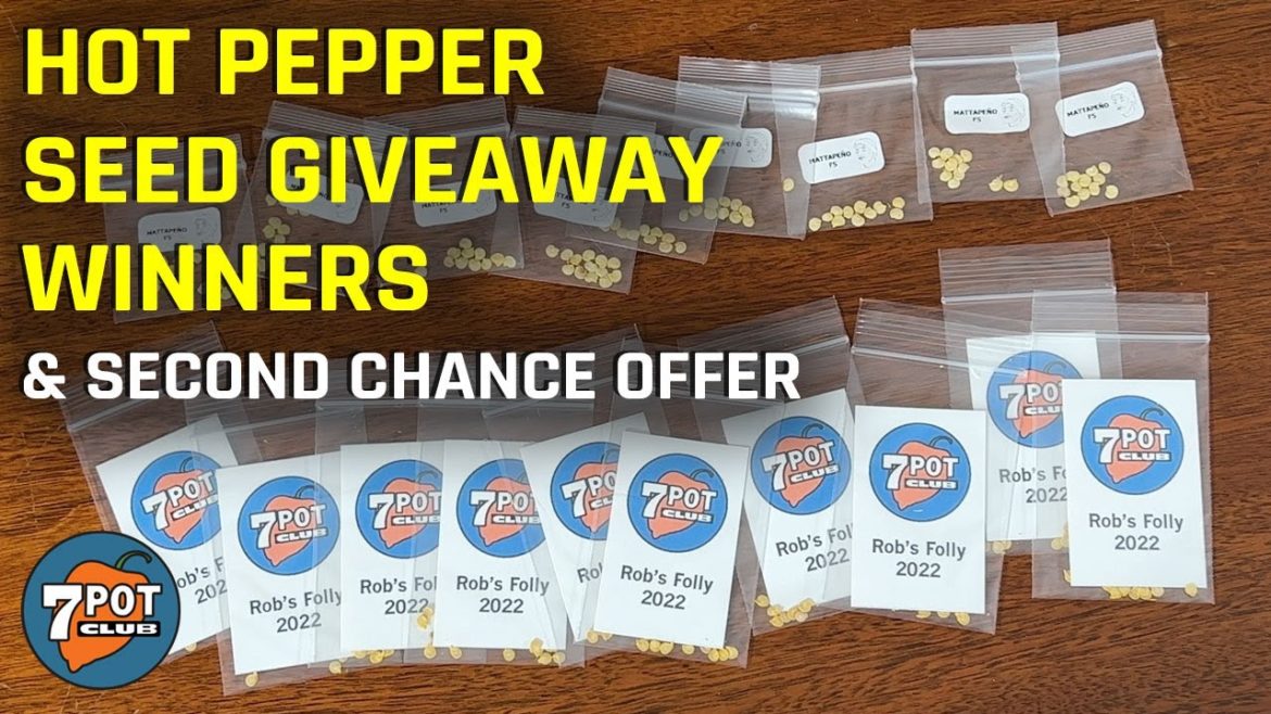 Holiday Seed Giveaway Winners and Second Chance Offer Holiday Seed Giveaway Winners and Second Chance Offer