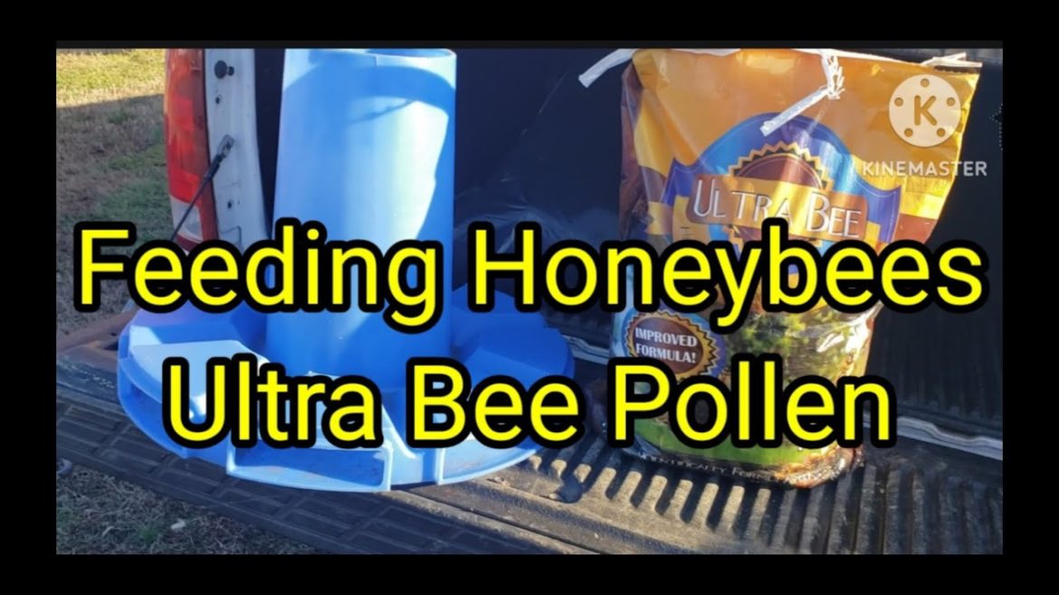 Feeding Honeybees Ultra Bee Pollen Feeding Honeybees Ultra Bee Pollen